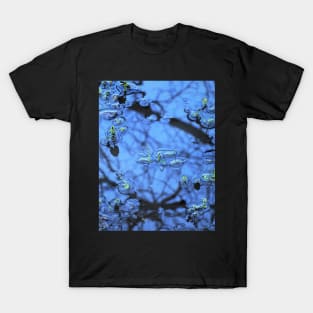 Winter Reflection T-Shirt